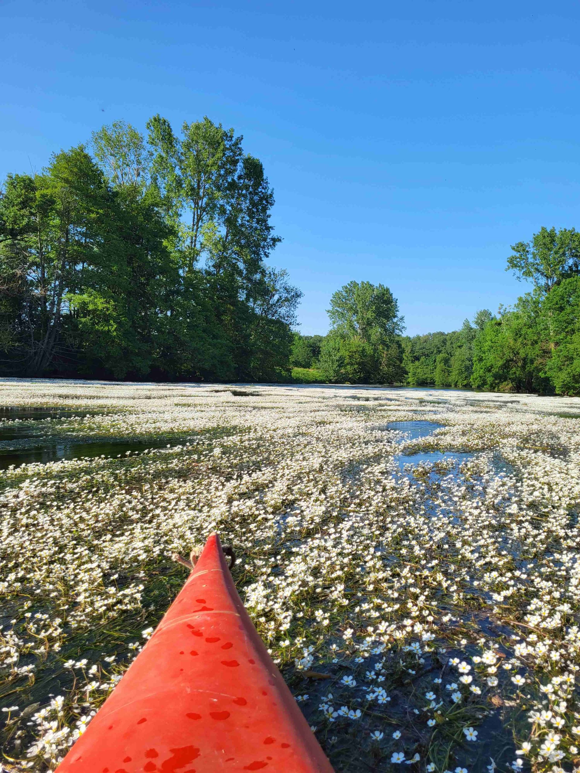 ballade en canoe au gite écologique de la Ferme et Terre